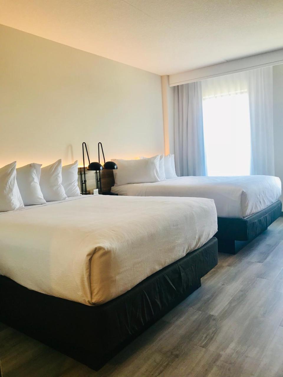 Wyndham Garden Ft Lauderdale Airport & Cruise Port Hotel Dania Beach Exterior foto
